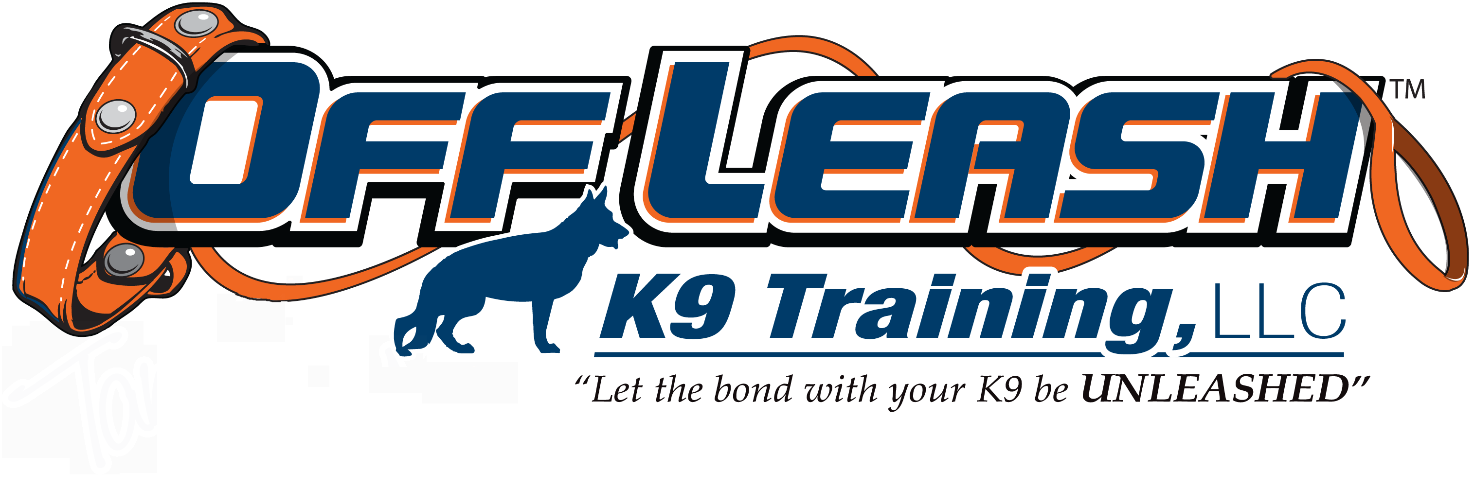 Newport News Offleash K9 Dog Training